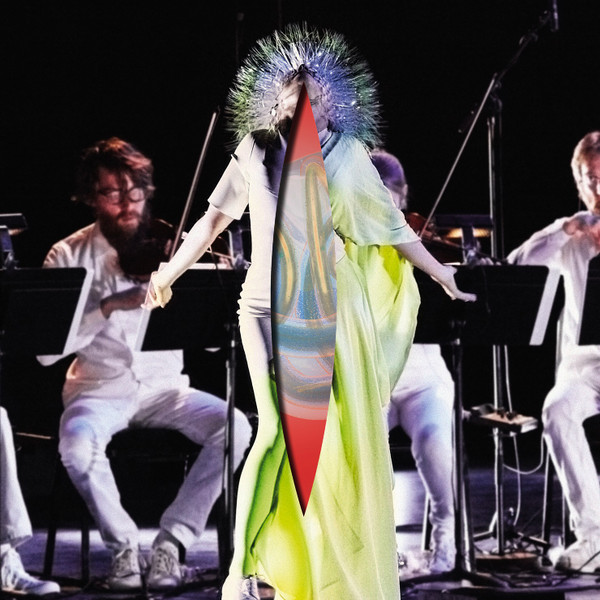 Björk – Vulnicura Strings cover