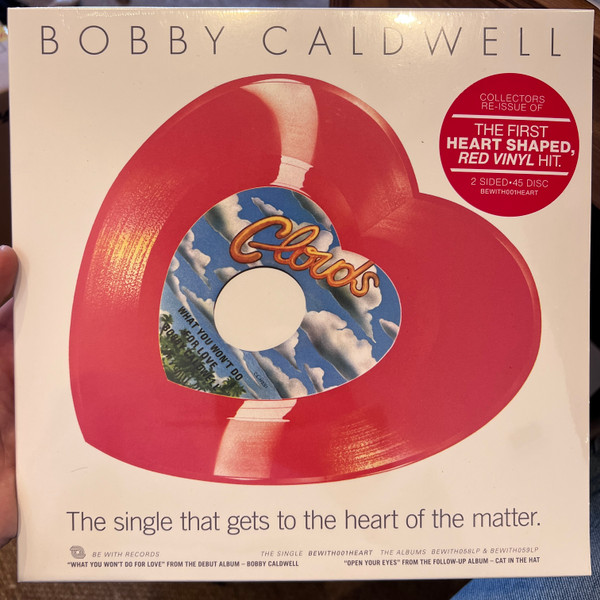 Bobby Caldwell – What You Won't Do For Love cover