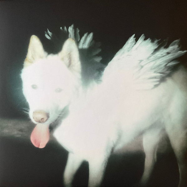 Fat Dog – Cancel Me (I'm Tired) vinyl cover