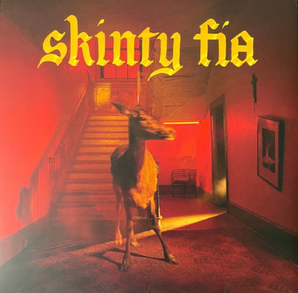 Fontaines D.C. – Skinty Fia cover
