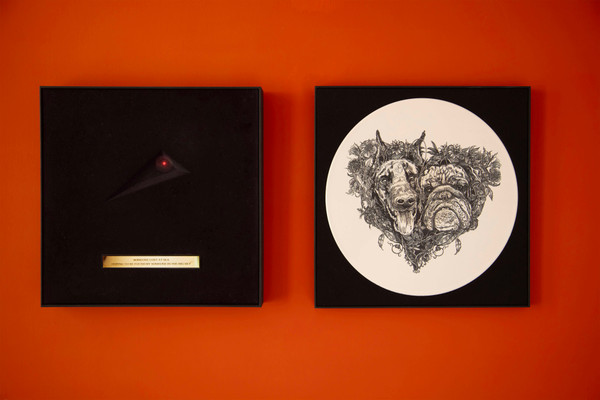 Kate Bush – Hounds Of Love (Lost At Sea Edition) vinyl cover