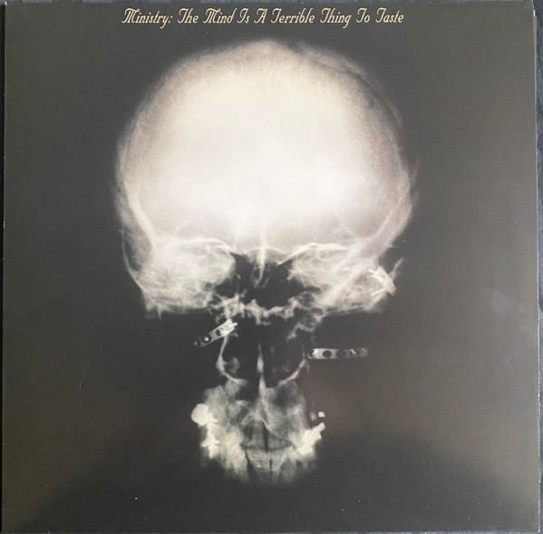 Ministry – The Mind Is A Terrible Thing To Taste cover