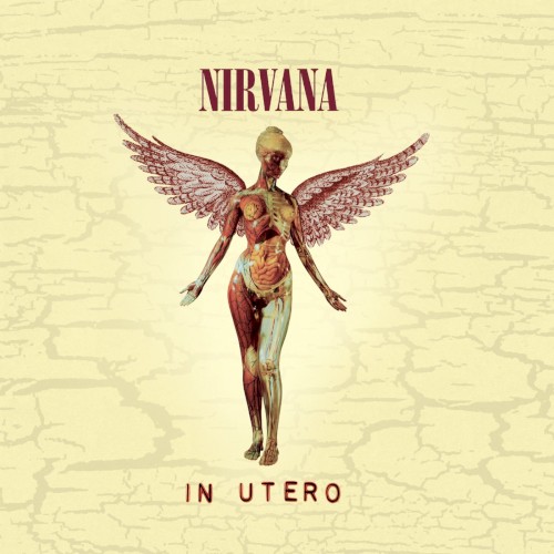 Nirvana – In Utero cover