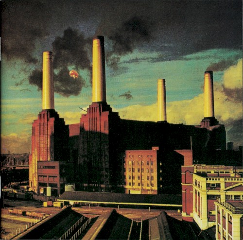 Pink Floyd – Animals cover