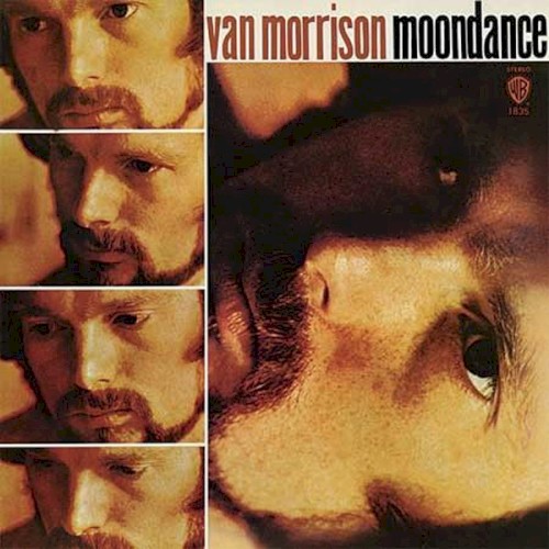 Van Morrison – Moondance cover